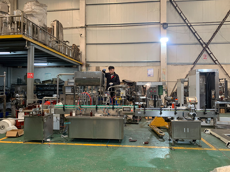 gmp認証vs。一般モデル:医療グレードの真空乳化剤の中心的な違い